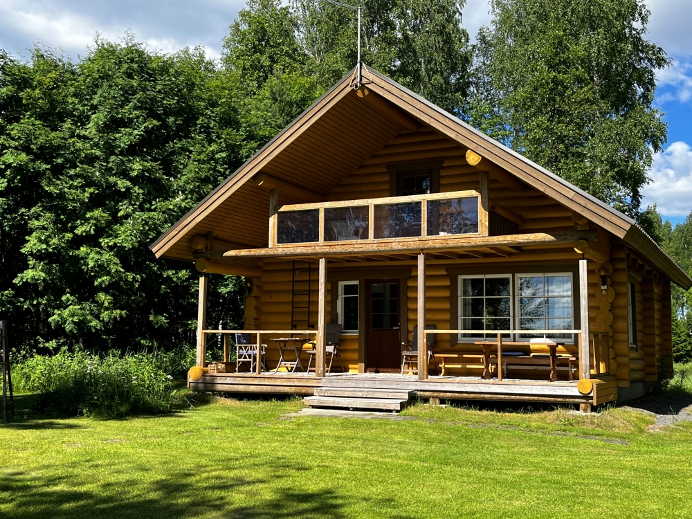 Koivunotko