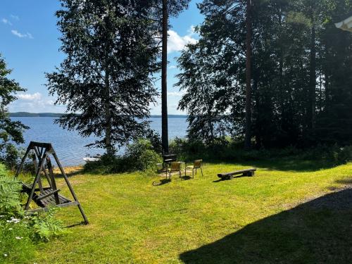 mnnikk_piha